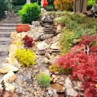 20 üzleti kép KOCSIS ZSOLT KERTÉPÍTŐ Kertépítés, kertgondozás ban/ben Pécs BA