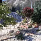 26 üzleti kép KOCSIS ZSOLT KERTÉPÍTŐ Kertépítés, kertgondozás ban/ben Pécs BA