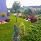 36 üzleti kép KOCSIS ZSOLT KERTÉPÍTŐ Kertépítés, kertgondozás ban/ben Pécs BA