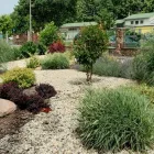 63 üzleti kép KOCSIS ZSOLT KERTÉPÍTŐ Kertépítés, kertgondozás ban/ben Pécs BA