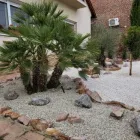 64 üzleti kép KOCSIS ZSOLT KERTÉPÍTŐ Kertépítés, kertgondozás ban/ben Pécs BA