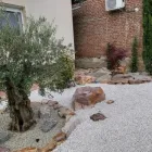 65 üzleti kép KOCSIS ZSOLT KERTÉPÍTŐ Kertépítés, kertgondozás ban/ben Pécs BA