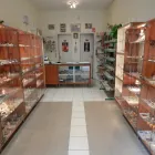 2 üzleti kép KRISTÁLY CENTRUM ÁSVÁNYOK Üzletek ban/ben Budapest PE