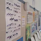 3 üzleti kép L.F. ANT ÁLLATORVOSI RENDELŐ Állatorvosok ban/ben Budapest PE