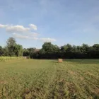 25 üzleti kép LANDHAUS UNGARN-LUX CECÍLIA Ügyvédek, jogi szolgáltatások ban/ben Győr GS