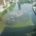 4 üzleti kép LAT-GENERÁL KFT Uszodatechnika ban/ben Monor PE