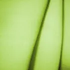 4 üzleti kép LÁTVÁNY TEXTIL KFT Üzletek ban/ben Ajka VE