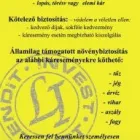 1 üzleti kép LENDIT-INVEST BIZTOSÍTÁSI ALKUSZ ÉS SZOLGÁLTATÓ KFT. Jogi & Pénzügyi szolgáltatások ban/ben Mosonmagyaróvár GS