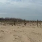 3 üzleti kép LEV-SOIL TALAJVÉDELMI ÉS SZOLGÁLTATÓ KFT. Vízmű, csatornamű ban/ben Mezőtúr JN