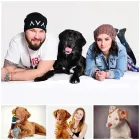 8 üzleti kép LEXA PHOTOGRAPHY Számítástechnika & Elektronika ban/ben Miskolc BZ