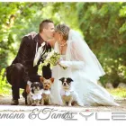 32 üzleti kép LEXA PHOTOGRAPHY Számítástechnika & Elektronika ban/ben Miskolc BZ