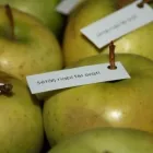 17 üzleti kép MAGISTRE RENDEZVÉNY ÉS ESKÜVŐ SZERVEZŐ KFT. Üzleti szolgáltatások ban/ben Tatabánya KE