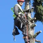 1 üzleti kép MAYER ZOLTÁN ALPINFAVÁGÓ Otthon és Építőipar ban/ben Budapest