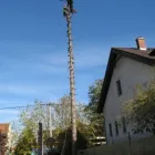 3 üzleti kép MAYER ZOLTÁN ALPINFAVÁGÓ Otthon és Építőipar ban/ben Budapest