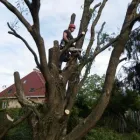 4 üzleti kép MAYER ZOLTÁN ALPINFAVÁGÓ Otthon és Építőipar ban/ben Budapest