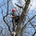 5 üzleti kép MAYER ZOLTÁN ALPINFAVÁGÓ Otthon és Építőipar ban/ben Budapest