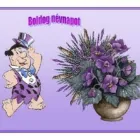 8 üzleti kép MEDITERRÁN TERMÉSKŐ-LÁBAZAT-DEKORKŐ-FALBURKOLÓKŐ-WWW.DESIGN-TREND.FREEWB.HU Üzletek ban/ben Szolnok JN