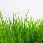 4 üzleti kép MELINDA-ÁLOMKERT Otthon és Építőipar ban/ben Balatonlelle SO