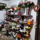 3 üzleti kép MELINDA VIRÁG- ÉS AJÁNDÉKBOLT Virágok, virágpiac, virágküldés ban/ben Balatonalmádi VE