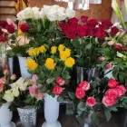 8 üzleti kép MELINDA VIRÁG- ÉS AJÁNDÉKBOLT Virágok, virágpiac, virágküldés ban/ben Balatonalmádi VE