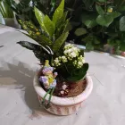 9 üzleti kép MELINDA VIRÁG- ÉS AJÁNDÉKBOLT Virágok, virágpiac, virágküldés ban/ben Balatonalmádi VE