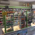 2 üzleti kép MENTA GYÓGYSZERTÁR VG-PHARMA EC. Gyógyszertárak ban/ben Balatonszárszó SO