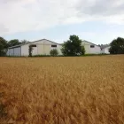 14 üzleti kép MILUS KERESKEDŐHÁZ KFT. MILUS GABONA Gabona- és malomipar ban/ben Bágyogszovát GS