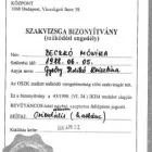 2 üzleti kép MONA MOON-HASTÁNC Tánciskola ban/ben Budapest