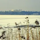 7 üzleti kép MÓNIKA PANZIÓ-TATA Motel, panzió ban/ben Tata KE