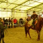 5 üzleti kép MONTE VIGO KFT. Sport & Szabadidő ban/ben Budapest PE