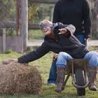2 üzleti kép NAIRAM KFT.- Üzleti szolgáltatások ban/ben Szajol JN