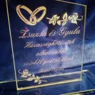 2 üzleti kép NYIRŐ ZSOLT ÜVEGCSISZOLÓ Üzleti szolgáltatások ban/ben Tapolca VE