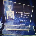 8 üzleti kép NYIRŐ ZSOLT ÜVEGCSISZOLÓ Üzleti szolgáltatások ban/ben Tapolca VE