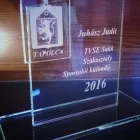 12 üzleti kép NYIRŐ ZSOLT ÜVEGCSISZOLÓ Üzleti szolgáltatások ban/ben Tapolca VE