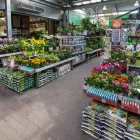 9 üzleti kép OBI ÁRUHÁZ VESZPRÉM Lakásfelújítás ban/ben Veszprem VE