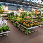 10 üzleti kép OBI ÁRUHÁZ VESZPRÉM Lakásfelújítás ban/ben Veszprem VE