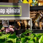 7 üzleti kép OBI KERTÉSZET VESZPRÉM Kerti berendezések, bútorok ban/ben Veszprem VE