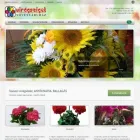 4 üzleti kép PEGATON STUDIO KFT. Webhosting ban/ben Cegléd PE