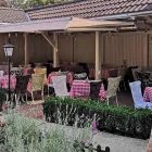 11 üzleti kép PICCOLO PANZIÓ VENDÉGLŐ VINOTECA Vendéglátás ban/ben Zalaegerszeg ZA