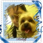 3 üzleti kép PINCSIFRIZUR KUTYAKOZMETIKA (GARÁZS) Üzletek ban/ben Tatabánya KE