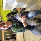 8 üzleti kép PINCSIFRIZUR KUTYAKOZMETIKA (GARÁZS) Üzletek ban/ben Tatabánya KE