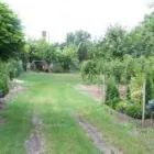 1 üzleti kép PLAVECZ FAISKOLA Üzletek ban/ben Nagykőrös PE