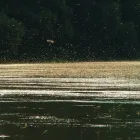 4 üzleti kép POLGÁRMESTERI HIVATAL TÓSZEG Önkormányzatok ban/ben Tószeg JN