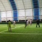 1 üzleti kép PROGRASS Sportpálya ban/ben Pomáz PE