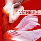 6 üzleti kép PROSIS AUTÓMOSÓ Autómosás ban/ben Pécs BA