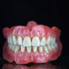 9 üzleti kép RÁTONYI FOGTECHNIKA Fogtechnika ban/ben Ráckeve PE