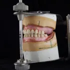 13 üzleti kép RÁTONYI FOGTECHNIKA Fogtechnika ban/ben Ráckeve PE