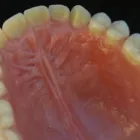 23 üzleti kép RÁTONYI FOGTECHNIKA Fogtechnika ban/ben Ráckeve PE