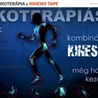 1 üzleti kép REMEMDIUM HUNGARY KFT Sportegyesület ban/ben Székesfehérvár FE