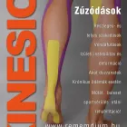 4 üzleti kép REMEMDIUM HUNGARY KFT Sportegyesület ban/ben Székesfehérvár FE